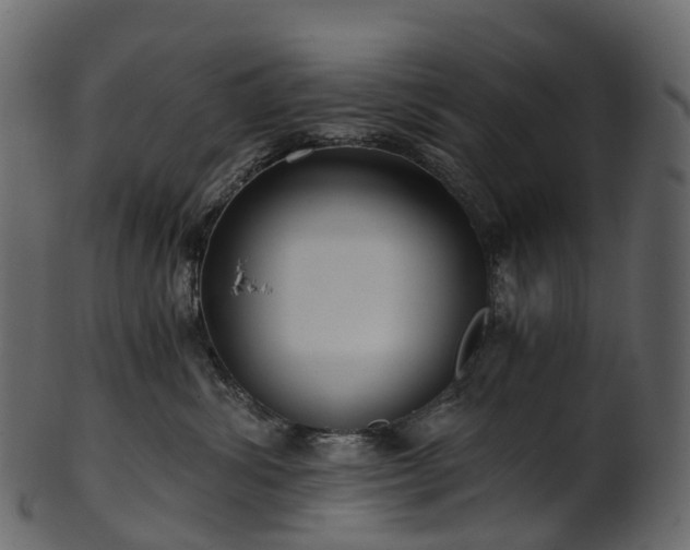 X0000101120428200807031808