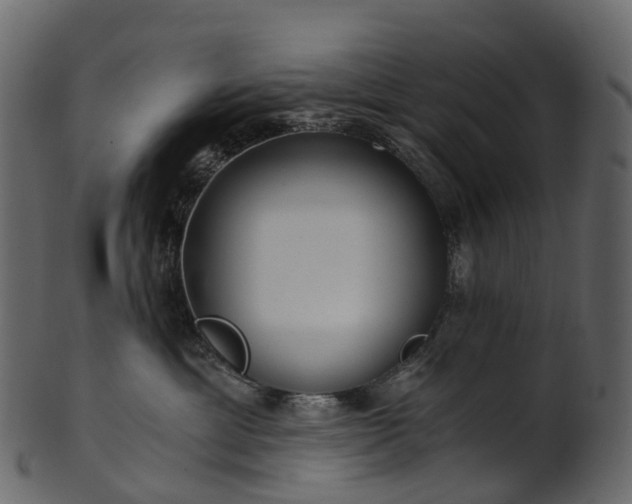 X0000101120429200807031808