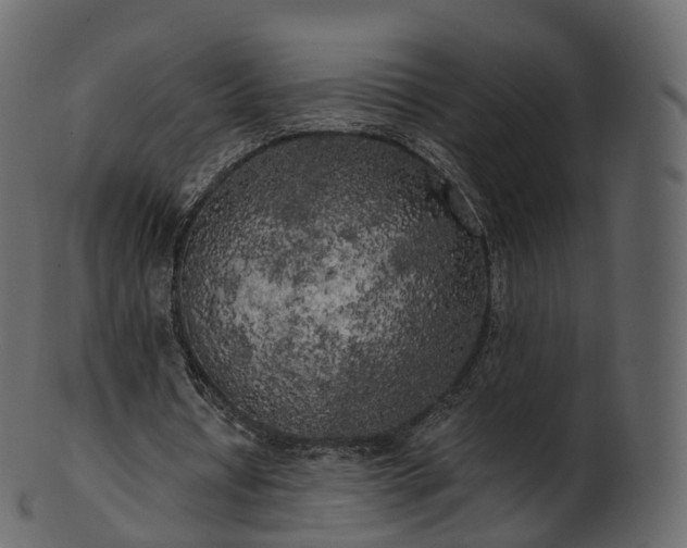 X0000101120434200807031807