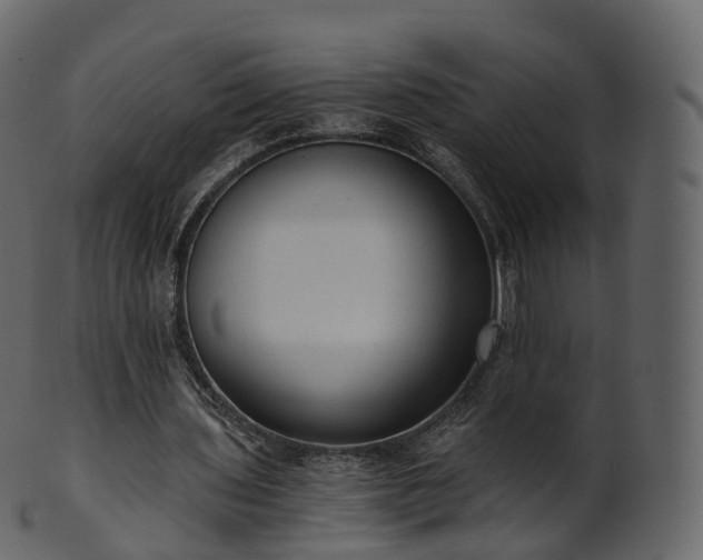 X0000101120435200807031807