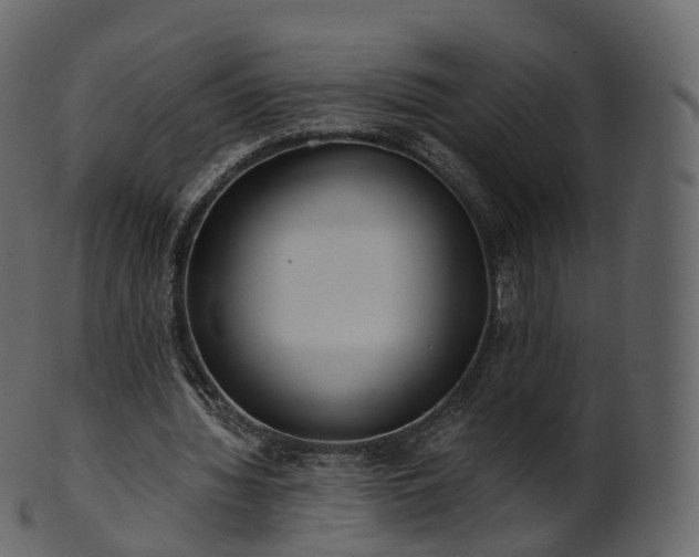 X0000101120436200807031807
