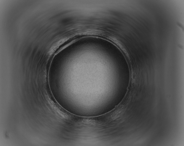 X0000101120437200807031807