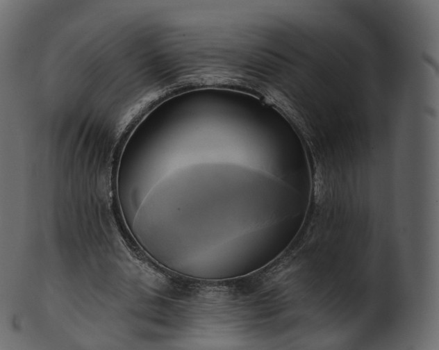X0000101120438200807031807