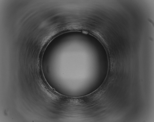 X0000101120439200807031807