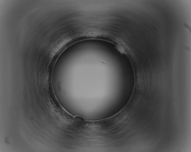 X0000101120440200807031807