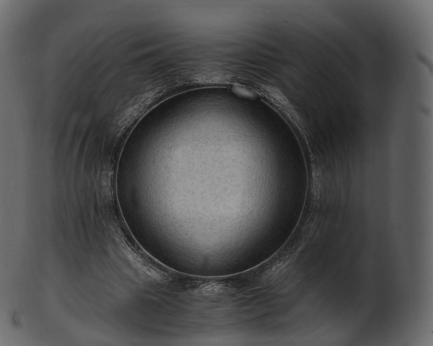 X0000101120441200807031807