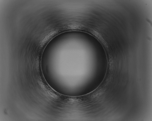 X0000101120442200807031807
