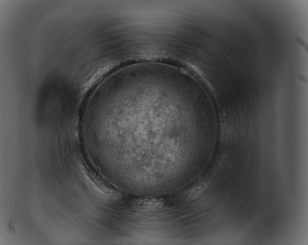 X0000101120443200807031807