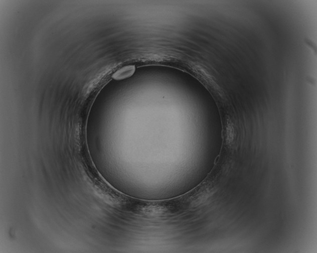 X0000101120444200807031807