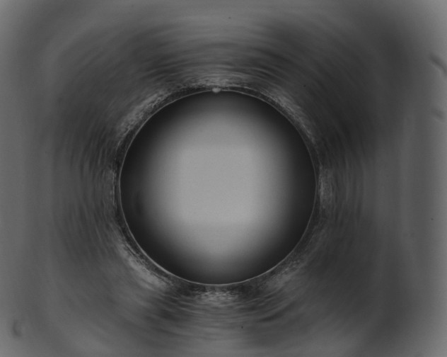 X0000101120445200807031807