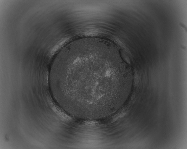 X0000101120446200807031807