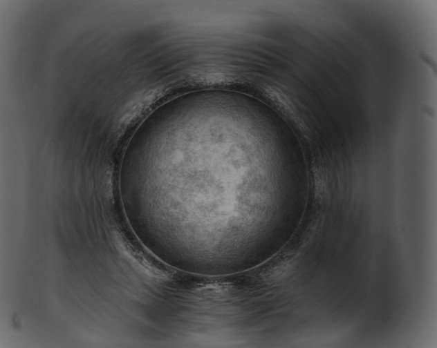 X0000101120447200807031807