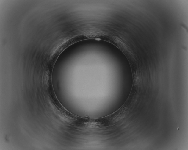 X0000101120448200807031807