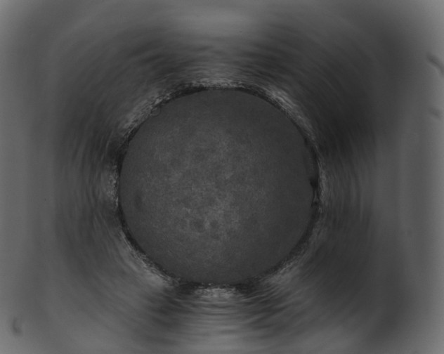 X0000101120449200807031807