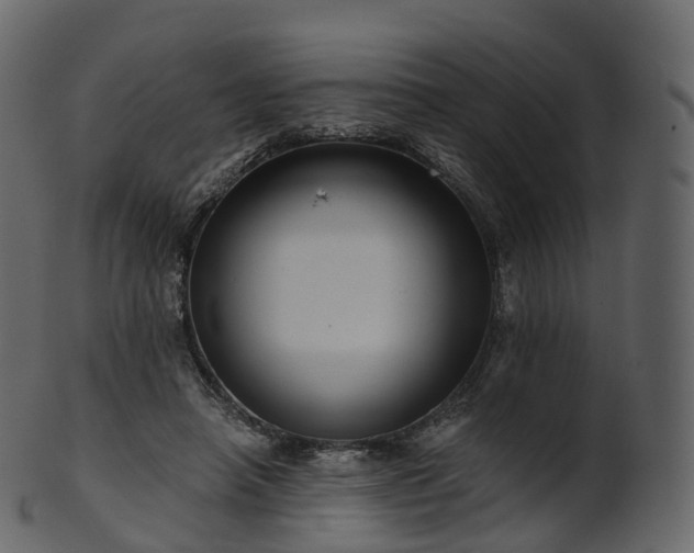 X0000101120450200807031807