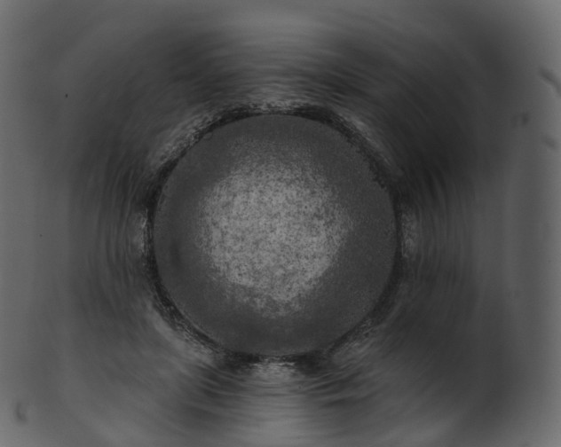 X0000101120451200807031807
