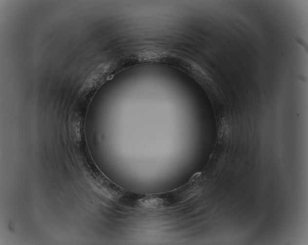 X0000101120452200807031807