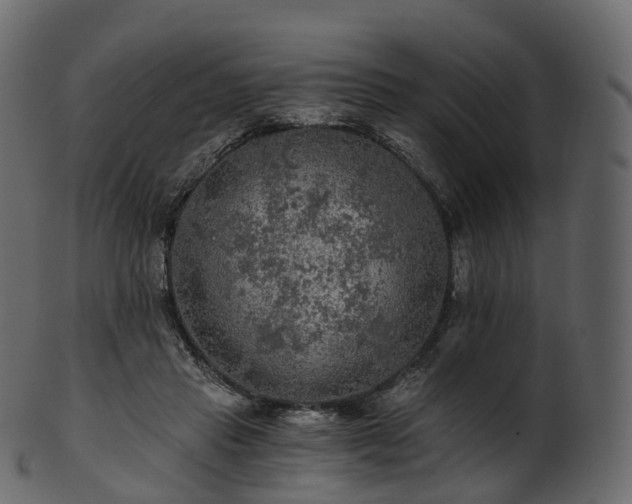 X0000101120453200807031807