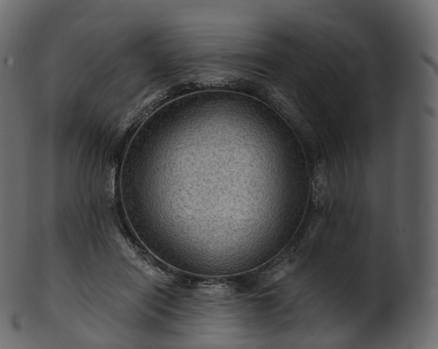 X0000101120454200807031807