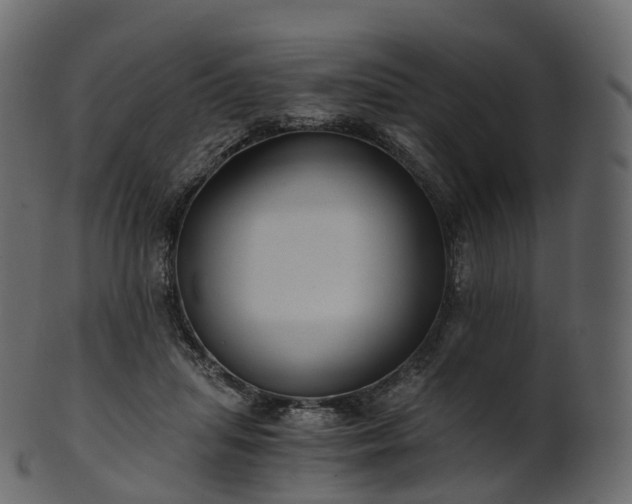 X0000101120455200807031807