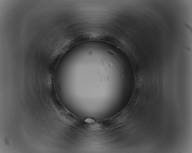X0000101120456200807031807