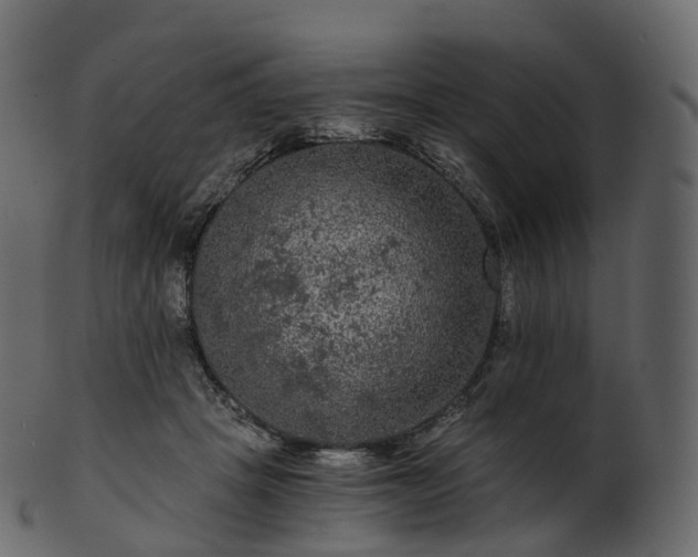 X0000101120457200807031807