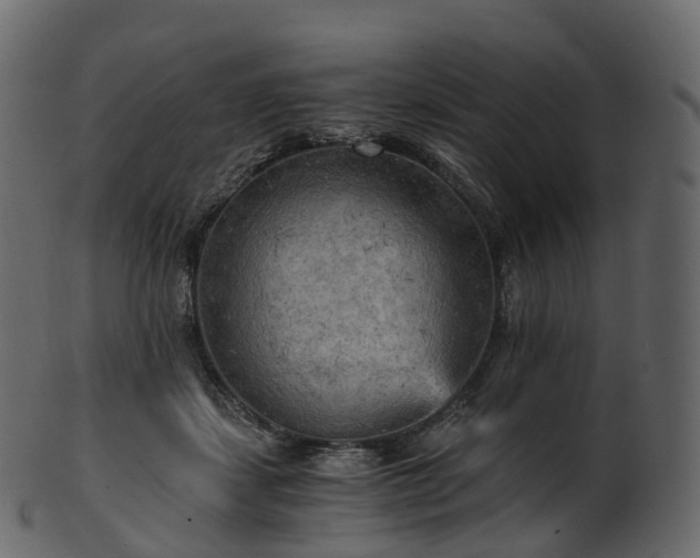 X0000101120459200807031807