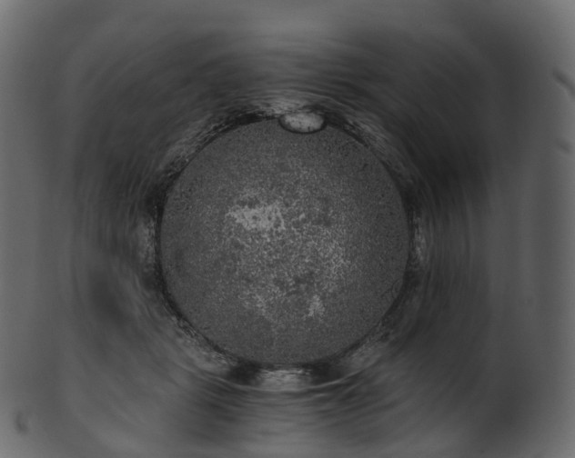 X0000101120461200807031807