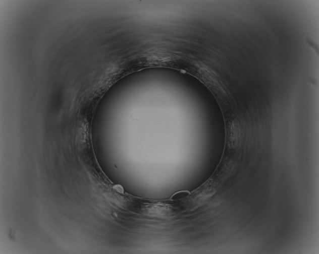 X0000101120463200807031807