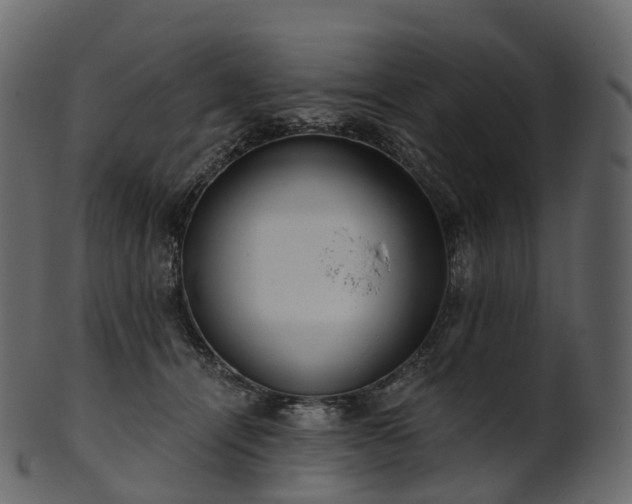 X0000101120464200807031807