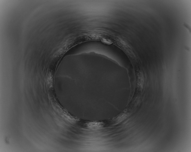 X0000101120465200807031807