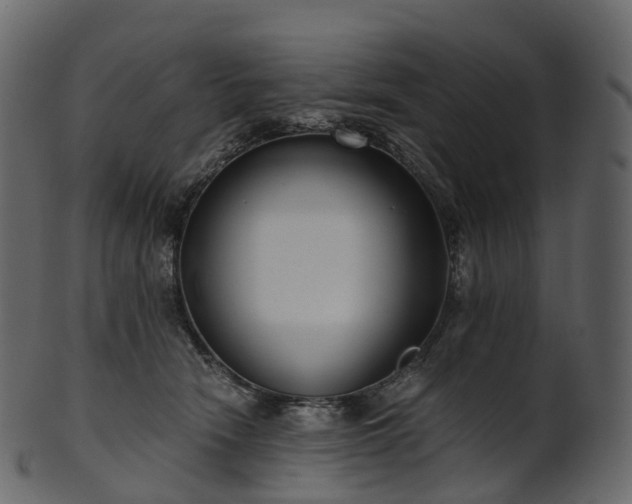 X0000101120466200807031807