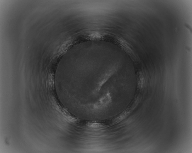 X0000101120467200807031808