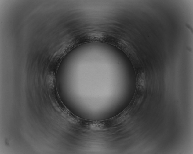 X0000101120468200807031808