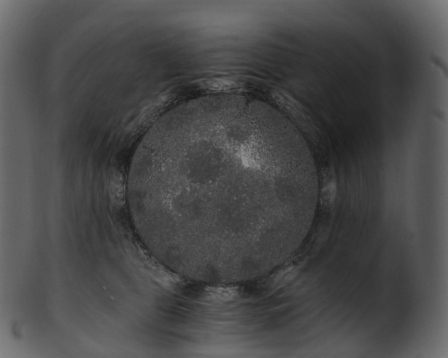 X0000101120469200807031808