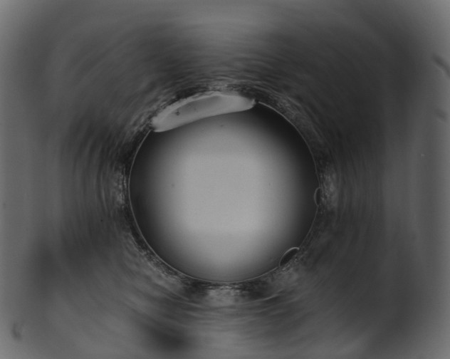 X0000101120470200807031808