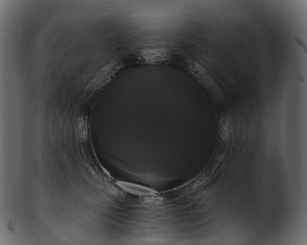 X0000101120471200807031808