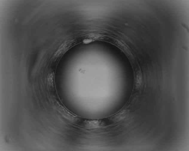 X0000101120473200807031808