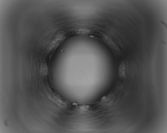 X0000101120474200807031808