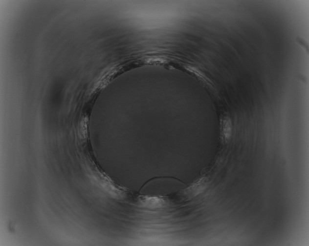 X0000101120475200807031808