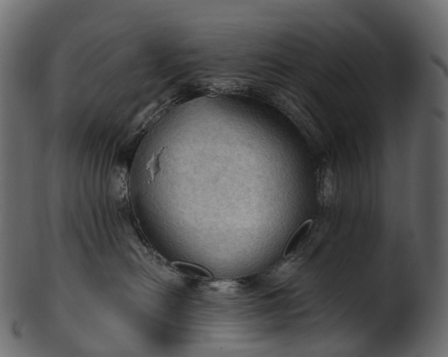 X0000101120478200807031808