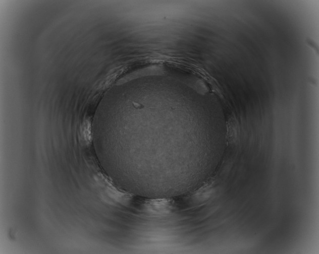 X0000101120479200807031808