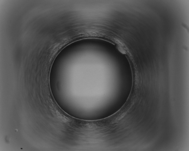 X0000101120481200807031807