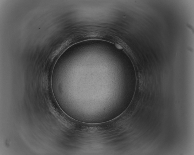 X0000101120482200807031807