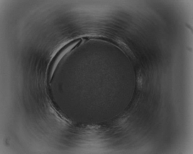 X0000101120484200807031807