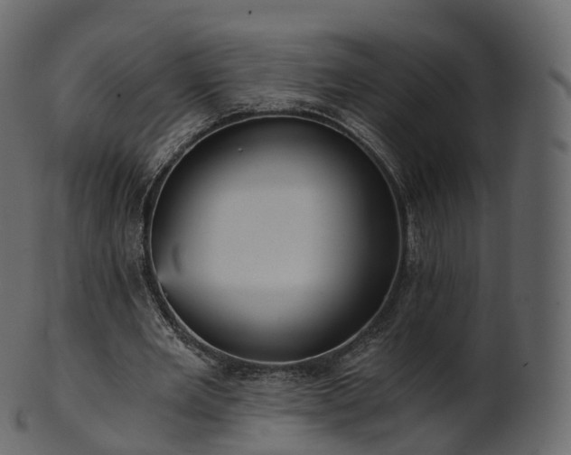 X0000101120485200807031807