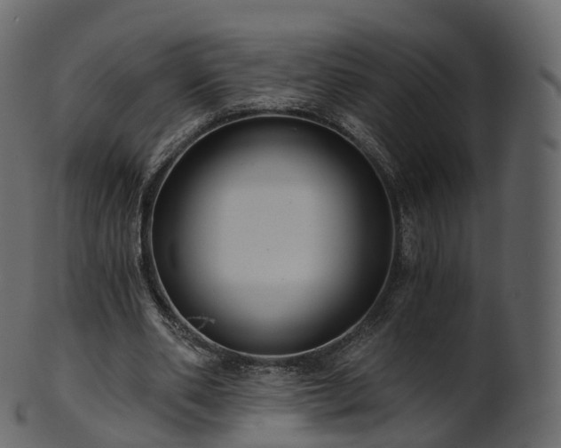 X0000101120486200807031807