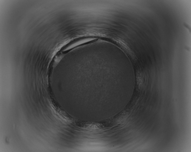 X0000101120488200807031807