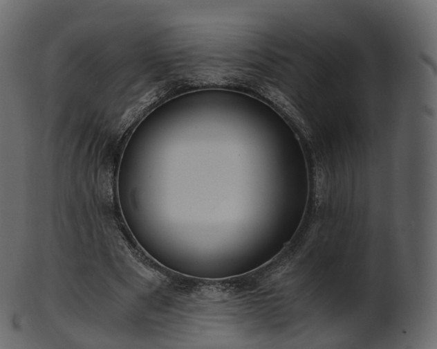 X0000101120489200807031807