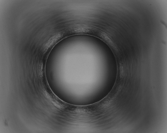 X0000101120490200807031807